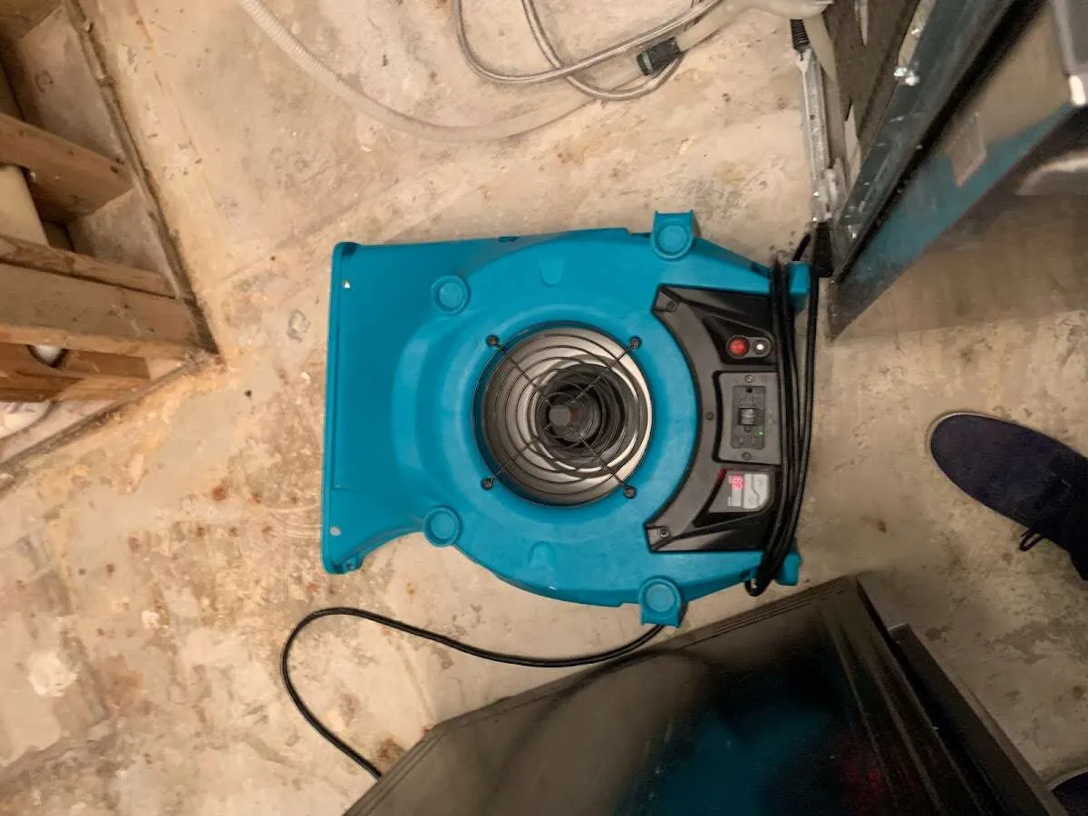 Air mover drying equipment for Mold Remediation & Removal in Western Springs