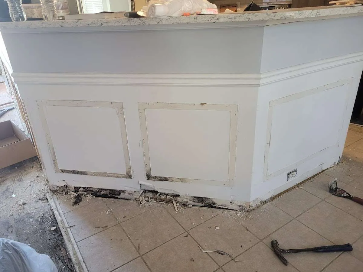 Water damage and mold on kitchen during Storm Damage Restoration in Western Springs